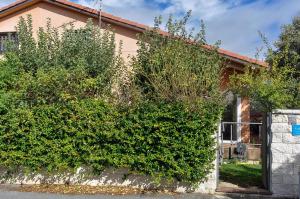 una casa con un grande cespuglio di fronte di Acogedora casa con verde jardín by CABANA Rentals a Ituero y Lama