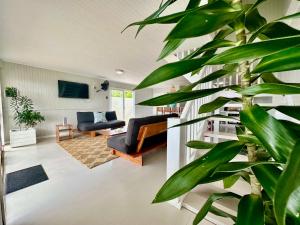 a living room with a large green plant at Villa de Surf in Ponta do Ouro