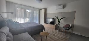 a bedroom with a bed and a couch and a tv at River Living Apartman in Budapest