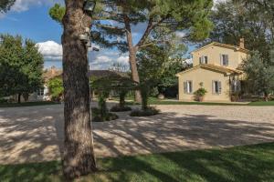 een boom in de tuin van een huis bij Villa Federica 17 in Manciano