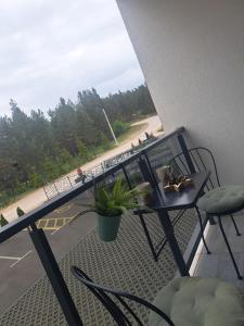 Rõdu või terrass majutusasutuses Apartlux Helena1