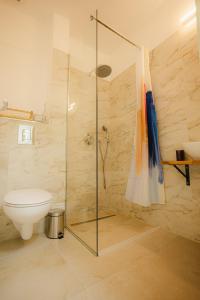 ein Badezimmer mit Toilette und Glasdusche in der Unterkunft Pensiunea Subcarpati in Jiblea Veche