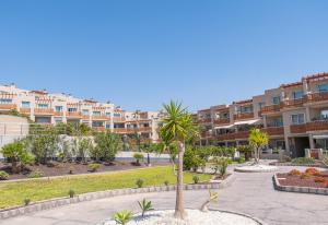 a palm tree in the middle of a courtyard with apartment buildings at Luxury Apartament Calle Pizarro La Tejita in La Mareta