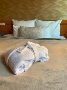 Termál Hotel Vesta 2251 Tápiószecső, Gyógyfürdő út 1/A kép - 2