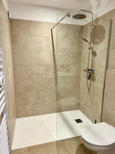 a bathroom with a shower and a toilet at Appartement Mare è Machja avec piscine et vue mer in Sari Solenzara +10 photos
