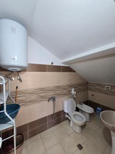 Ένα μπάνιο στο Vila Blaceri +20 φωτογραφίες