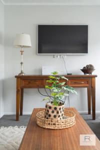 オークランドにあるCosy Bayswater Houseのデスク(テレビ付)、鉢植えの植物