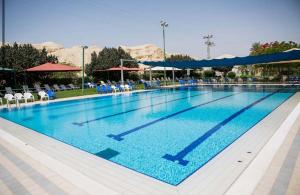 a large swimming pool with blue water at סברס in Ein Tamar 