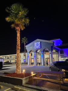 een palmboom met lichten voor een gebouw bij Boardwalk Suites Lafayette in Lafayette +11 foto's