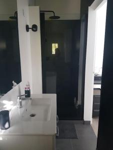 a bathroom with a white sink and a mirror at Duplex fond du jardin 2 kilomètres de Paris in Pantin