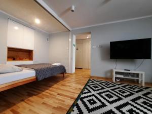 Televízia a/alebo spoločenská miestnosť v ubytovaní Lorf Hostel&Coffee