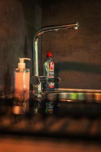 a bottle of coke sitting on a bathroom sink at GottwaldHaus-Freiberg-Apartment E in Freiberg