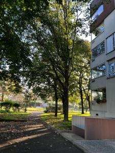 ein Gebäude in einem Park neben einem Baum in der Unterkunft Appartement près de Paris et Disneyland in Boissy-Saint-Léger
