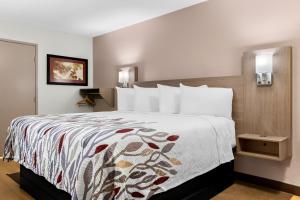 a hotel room with a large bed in a room at Red Roof Inn Harrisburg North in Harrisburg