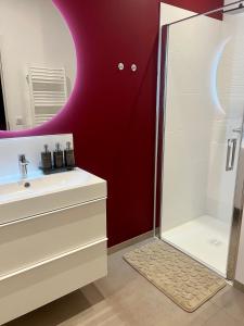 a bathroom with a shower and a sink and a mirror at Suite Clos Ahimsa in Volnay +19 photos