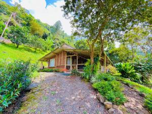 a wooden house with a tree in front of it at Los Gulungos Hostel in Jardin