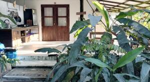 Kuchyň nebo kuchyňský kout v ubytování Namaste cabaña 02