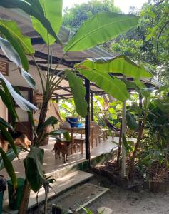 Zahrada ubytování Namaste cabaña 02 + 23 fotografií