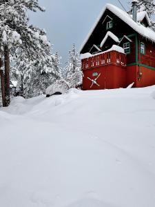 ein schneebedecktes Haus vor Bäumen in der Unterkunft 1 B1B lake cabin/walk to lake/Boulder bay park in Big Bear Lake