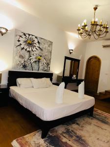 Gallery image of Modern Villa in Dahab in Dahab +14 photos