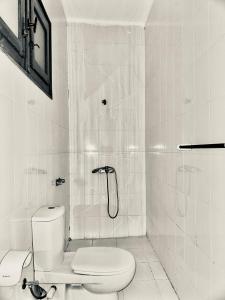ダハブにあるModern Villa in Dahabのトイレとシャワー付きの白いバスルーム