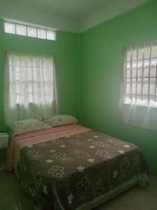 uma cama num quarto verde com 2 janelas em Free pickup from Rodney Bay Marina em Gros Islet