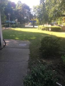 Vrt pred nastanitvijo ENA apartman