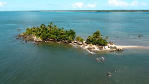 an island with trees in the middle of the water at Pousada Ponta da Baleia in Barra Grande