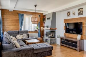 un salon avec un canapé et une télévision dans l'établissement Apartman Rustic 85m2, à Kopaonik