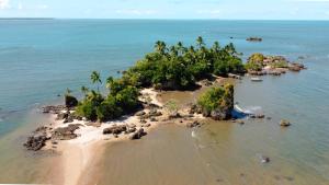 an island in the ocean with a bunch of trees at Pousada Ponta da Baleia in Barra Grande