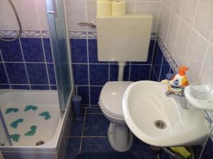 a bathroom with a toilet and a sink and a shower at Apartments Sab in Povljana +20 photos