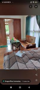 Katil atau katil-katil dalam bilik di Dragonflies Homestay
