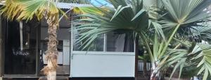 two palm trees in front of a white door at Palm lodge Faaa in Faaa