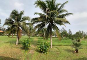 Gallery image of Helang Beach View in Kimanis