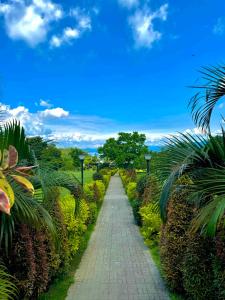 Fotografie z fotogalerie ubytování The Vineyard at Tanauan v destinaci Tanauan