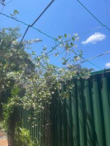 un recinto con un albero davanti di Spacious studio unit a Rochedale South