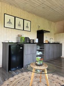 Kuchyň nebo kuchyňský kout v ubytování AncudLodge