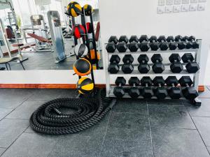 Fitness centrum a/nebo fitness zařízení v ubytování Gianna’s Stays