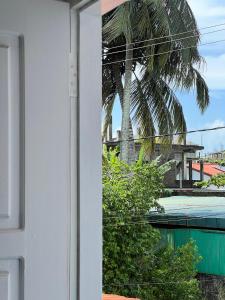 a view of a palm tree from a house at Alkimia in Weligama