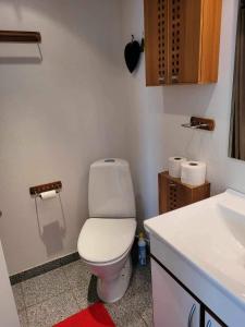 a bathroom with a white toilet and a sink at Hejlsminde ferie- og badeby in Hejls +11 photos