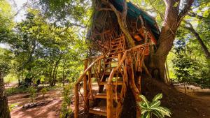 a tree house in the middle of a tree at Ali Adi Eco Tree House in Sigiriya
