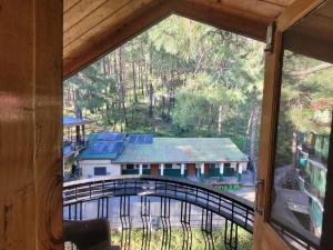 a view of a house from a window at Pine Paradise Homestay in Shimla