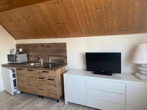 a kitchen with a sink and a tv on a counter at Penzion U Hájčusů in Karlovy Vary