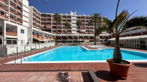Bazén v ubytování Top-Apartment, 4 OG, seitlicher Meerblick, mit 1 Schlafzimmer im Herzen von Playa del Inglés , Gran Canaria nebo v jeho okolí