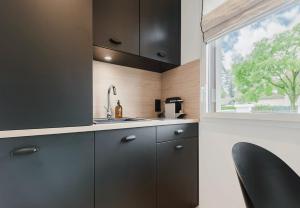a kitchen with a sink and a window at Appart Hotel Neostelia in Annecy