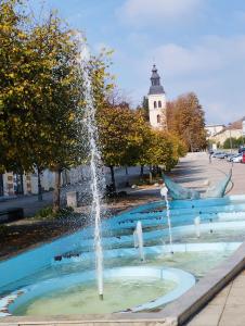 Πισίνα στο ή κοντά στο Studio apartman Senka +6 φωτογραφίες