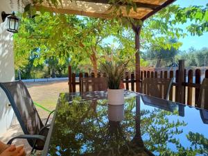 Zahrada ubytování Casa de Campo Los Manueles Ideal Perros Pet Friendly