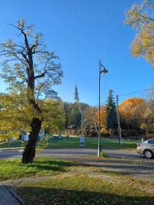 a tree on the side of a street with a car at Rajca Room - Mieszkanie przy Jasnej Górze in Częstochowa