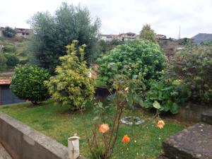 a garden with trees and flowers in a yard at Casa da Oliveira in Mondim de Basto