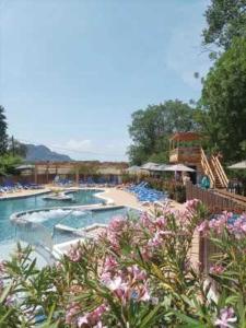 duży basen obok ośrodka z kwiatami w obiekcie Camping 3 étoiles - Piscine - eeebcb w mieście Roquebrune-sur Argens